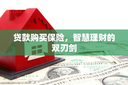 碑林贷款购买保险，智慧理财的双刃剑
