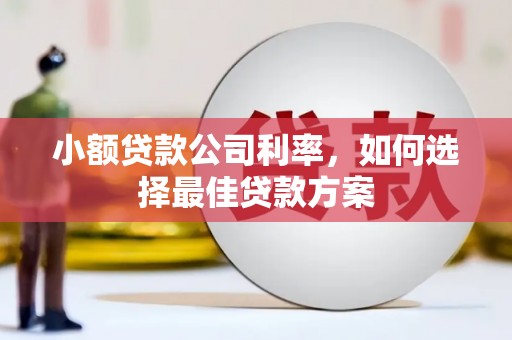 碑林小额贷款公司利率，如何选择最佳贷款方案