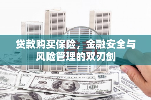 碑林贷款购买保险，金融安全与风险管理的双刃剑