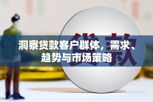 碑林洞察贷款客户群体，需求、趋势与市场策略