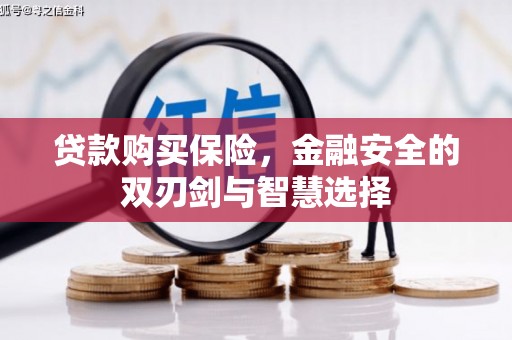 碑林贷款购买保险，金融安全的双刃剑与智慧选择