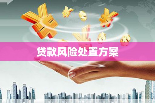 碑林贷款风险处置方案