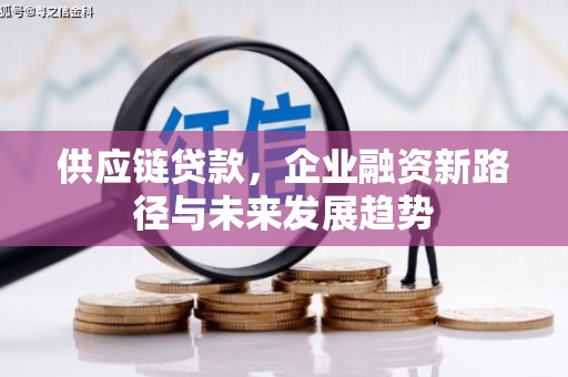 碑林供应链贷款，企业融资新路径与未来发展趋势