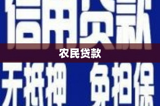 碑林农民贷款