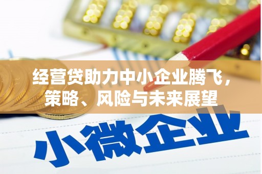 碑林经营贷助力中小企业腾飞，策略、风险与未来展望