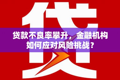 碑林贷款不良率攀升，金融机构如何应对风险挑战？