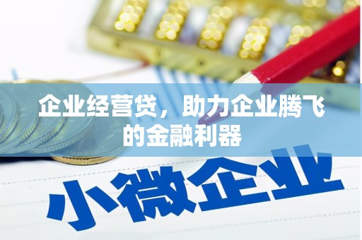 碑林企业经营贷，助力企业腾飞的金融利器