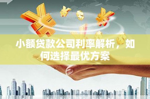碑林小额贷款公司利率解析，如何选择最优方案