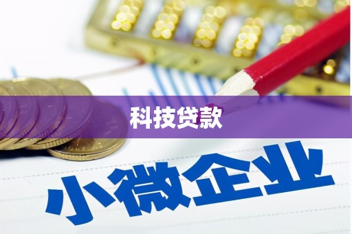 碑林科技贷款