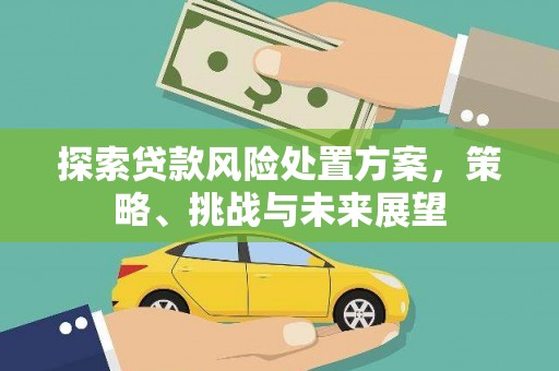 碑林探索贷款风险处置方案，策略、挑战与未来展望