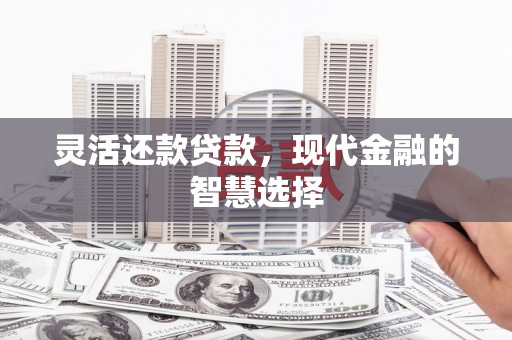 碑林灵活还款贷款，现代金融的智慧选择
