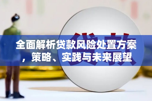 碑林全面解析贷款风险处置方案，策略、实践与未来展望