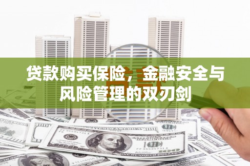碑林贷款购买保险，金融安全与风险管理的双刃剑