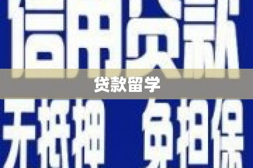 碑林贷款留学