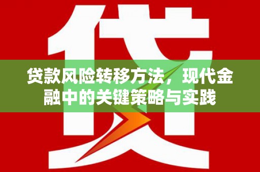 碑林贷款风险转移方法，现代金融中的关键策略与实践