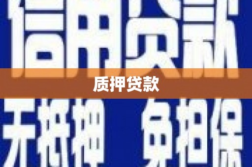碑林质押贷款