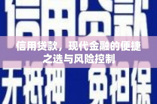 碑林信用贷款，现代金融的便捷之选与风险控制