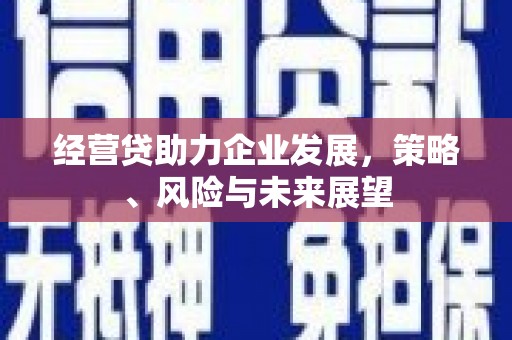 碑林经营贷助力企业发展，策略、风险与未来展望