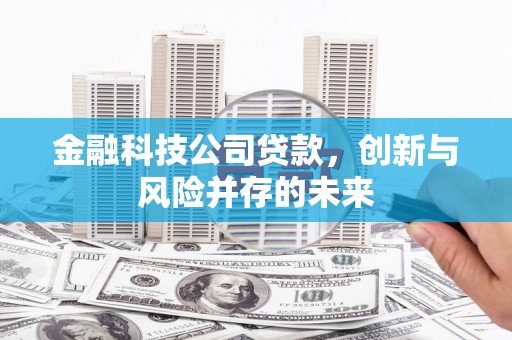 碑林金融科技公司贷款，创新与风险并存的未来