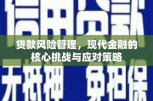 碑林贷款风险管理，现代金融的核心挑战与应对策略