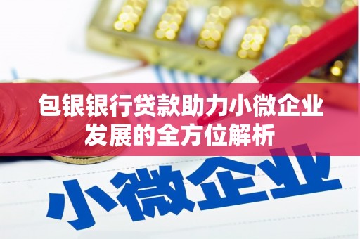 碑林包银银行贷款助力小微企业发展的全方位解析