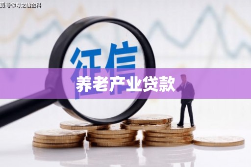 碑林养老产业贷款