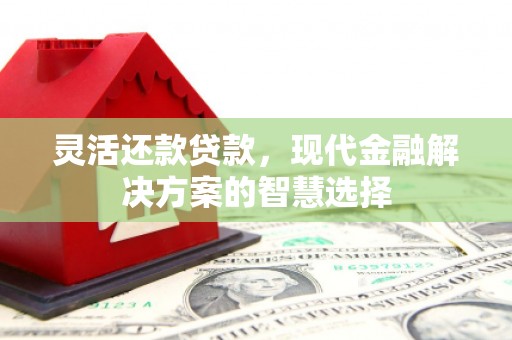 碑林灵活还款贷款，现代金融解决方案的智慧选择