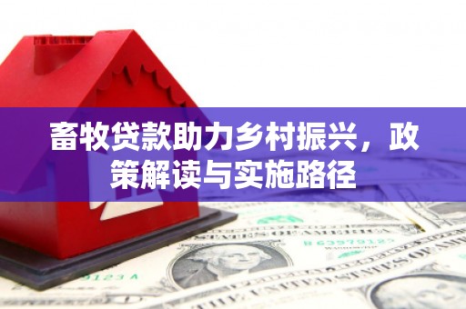 碑林畜牧贷款助力乡村振兴，政策解读与实施路径