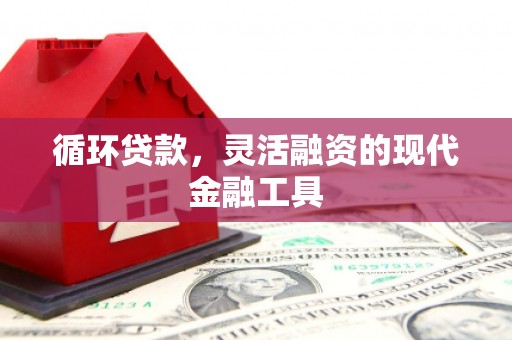 碑林循环贷款，灵活融资的现代金融工具