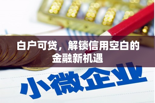 碑林白户可贷，解锁信用空白的金融新机遇