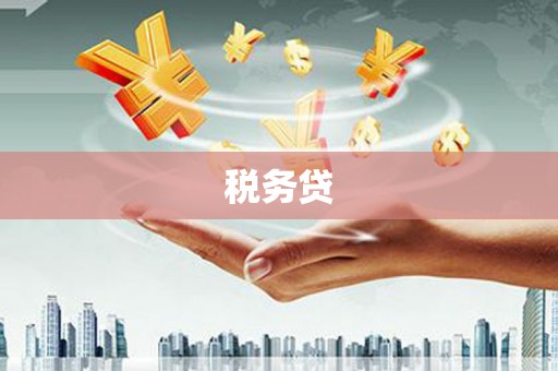 碑林税务贷