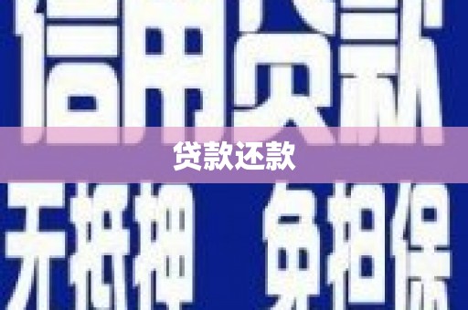 碑林贷款还款