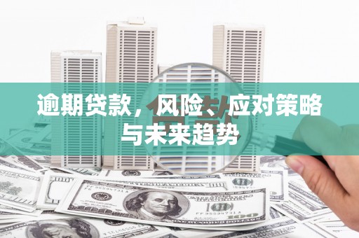 碑林逾期贷款，风险、应对策略与未来趋势