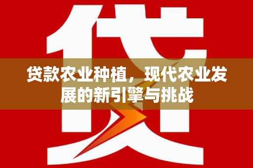 碑林贷款农业种植，现代农业发展的新引擎与挑战