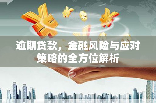 碑林逾期贷款，金融风险与应对策略的全方位解析
