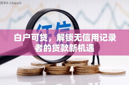 碑林白户可贷，解锁无信用记录者的贷款新机遇