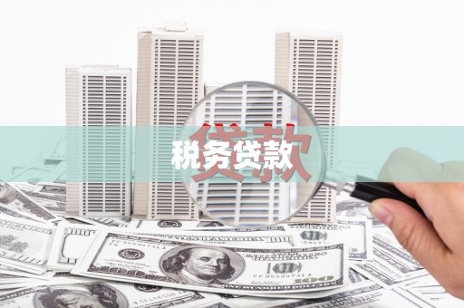 碑林税务贷款
