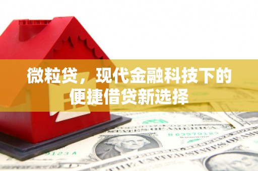 碑林微粒贷，现代金融科技下的便捷借贷新选择