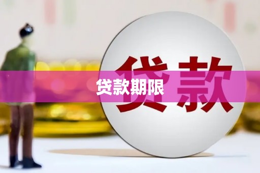 碑林贷款期限