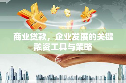 碑林商业贷款，企业发展的关键融资工具与策略