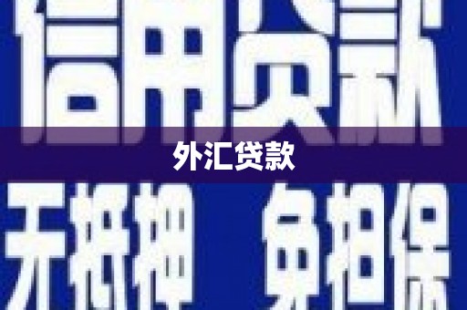 碑林外汇贷款
