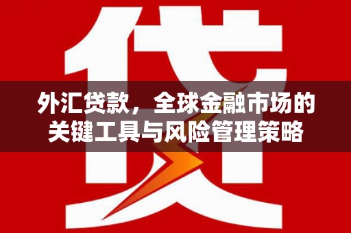 碑林外汇贷款，全球金融市场的关键工具与风险管理策略