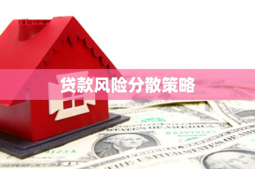碑林贷款风险分散策略