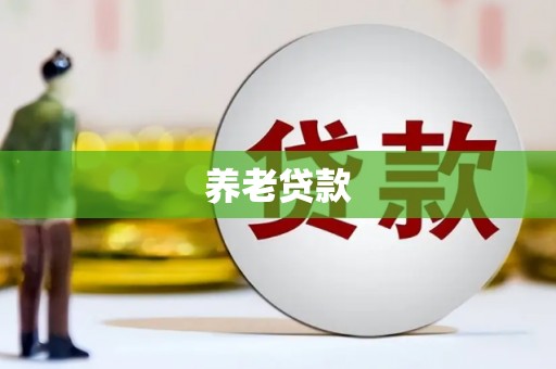 碑林养老贷款