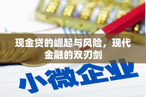 碑林现金贷的崛起与风险，现代金融的双刃剑