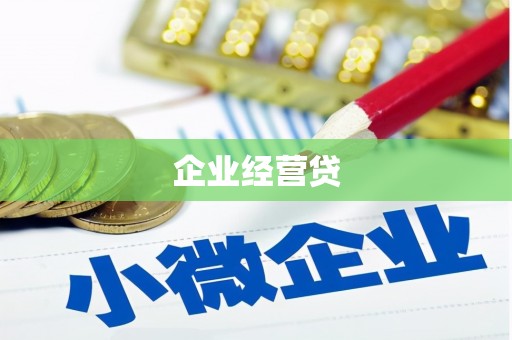 碑林企业经营贷