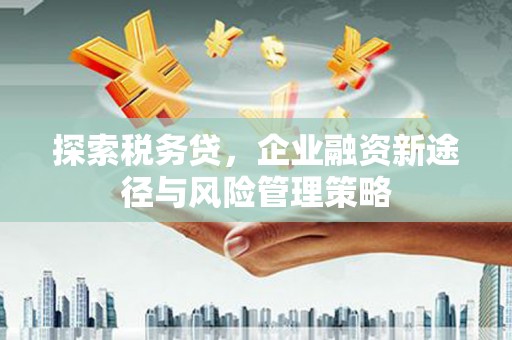 碑林探索税务贷，企业融资新途径与风险管理策略