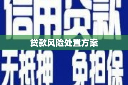 碑林贷款风险处置方案