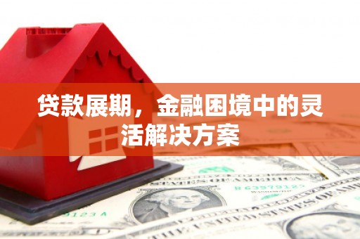 碑林贷款展期，金融困境中的灵活解决方案