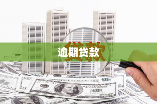 碑林逾期贷款